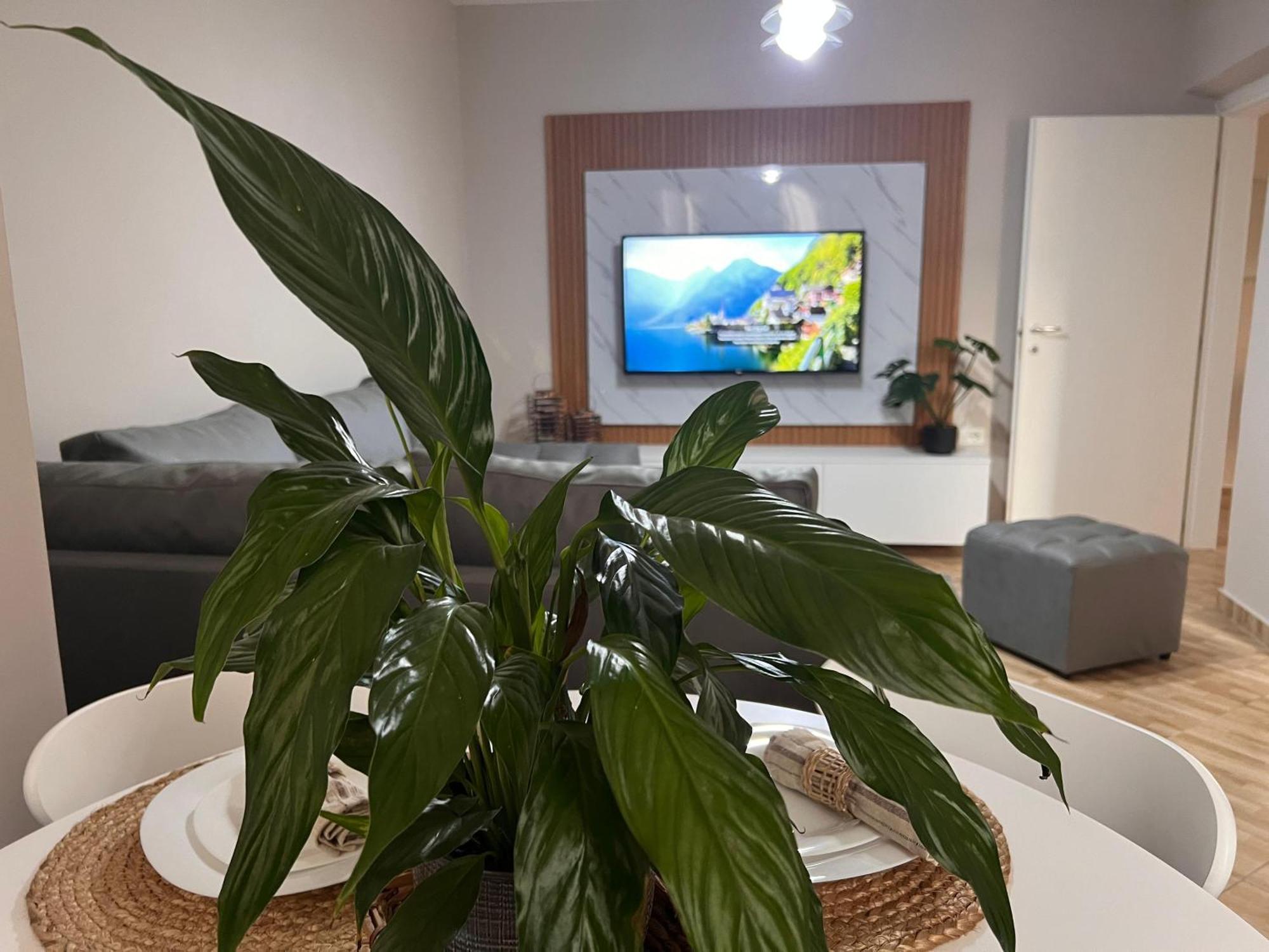 New Modern Tirana Apartment Extérieur photo
